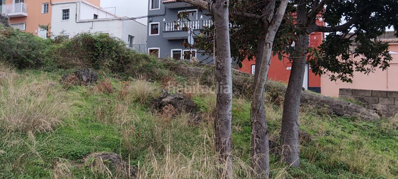 Foto 3dd3fc2f-0bbd-436c-9b43-491b8415d867. Terreny residencial a Cruz Santa Realejos (Los)