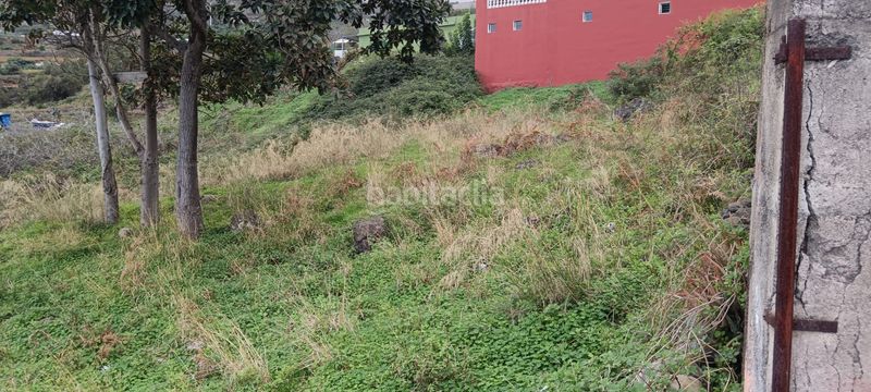 Foto 4dcce5ab-ebeb-488d-861a-bde07e320a04. Terreny residencial a Cruz Santa Realejos (Los)