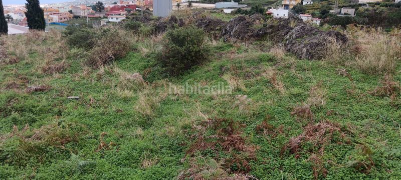 Foto af6c0625-e21c-4605-8b36-fef5703aaaff. Terreny residencial a Cruz Santa Realejos (Los)