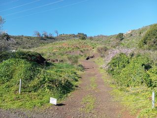 Rural plot  Lugar lomo pelado