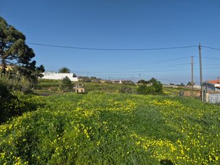 Rural plot in Machado - Las Barreras