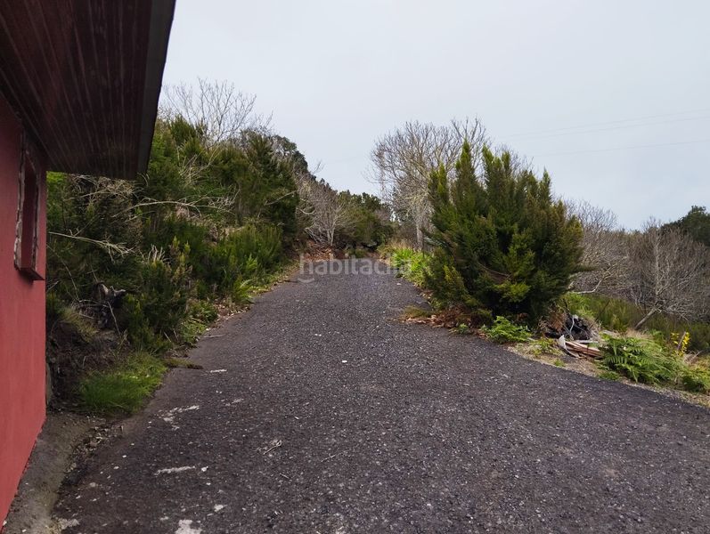Foto b79ccbea-d889-49b0-ba3e-d20508839fbf. Casale in Agulo
