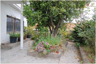 Chalet in Calle Bethencourt