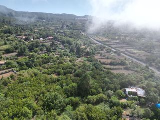 Finca rústica a Tanque (El)