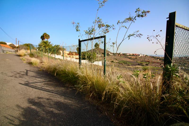 Foto 4ae7f141-0b11-4dbd-bd87-8b4591bf2d81. Terreno residenziale in Tafira Palmas de Gran Canaria (Las)