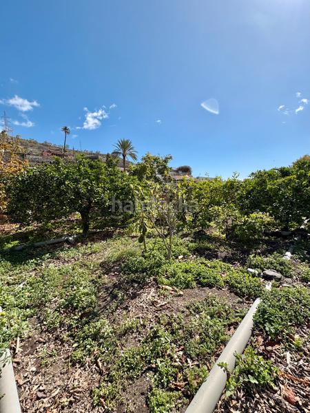 Foto 1eebfea5-4dd4-44dd-9870-8b09009e6dd9. Casa  terrera en venta , gran canaria en Caserones - La Higuera Telde