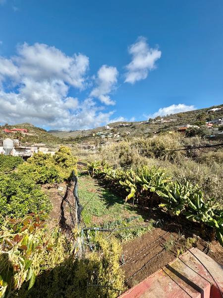 Foto 9ef42a1f-7eae-452f-b9d4-b422e4ffe65b. Casa  terrera en venta , gran canaria en Caserones - La Higuera Telde