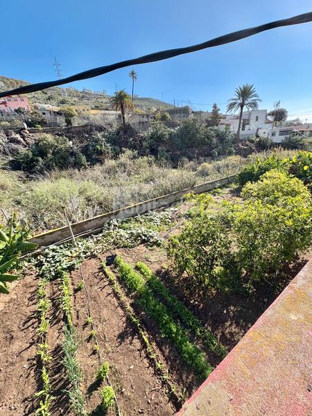 Foto b42666ec-7988-4cbd-81aa-92aae13c5707. Casa  terrera en venta , gran canaria en Caserones - La Higuera Telde