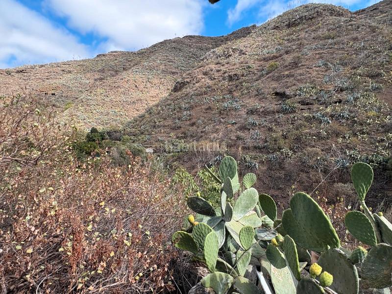 Foto 22239847-00e9-4ee7-b63d-2fd8d7707eba. Bauernhof in Valsequillo de Gran Canaria