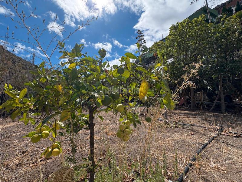 Foto 802ed73d-b7d9-4188-a906-0f2540dfba21. Bauernhof in Valsequillo de Gran Canaria