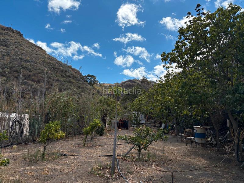 Foto bc55046c-a0ac-4175-b50a-9405531e0ed0. Bauernhof in Valsequillo de Gran Canaria