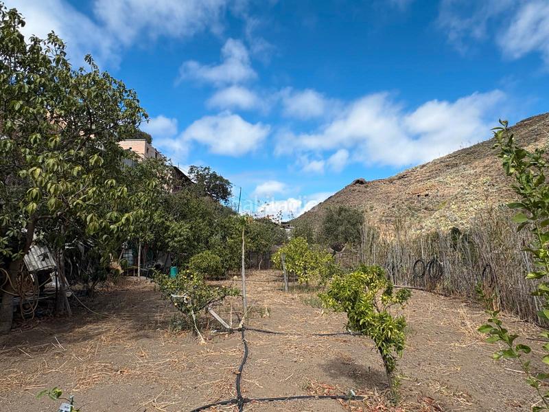 Foto 16a93b9d-b78c-4ca9-a5cb-a3ef239370e7. Casale in Valsequillo de Gran Canaria