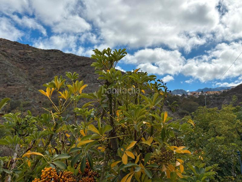 Foto 7de2ccb2-bea5-481a-a856-115912d72190. Casale in Valsequillo de Gran Canaria