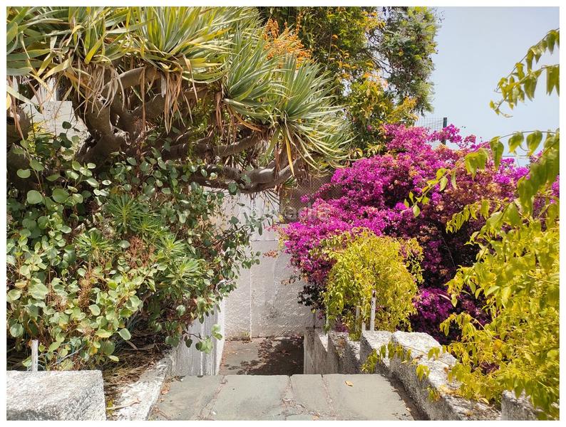 Foto ee663b12-d7cb-4aef-b308-91cf33fd013a. Casa amb aparcament a Tafira Palmas de Gran Canaria (Las)