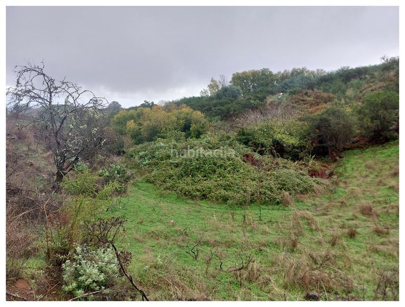 Foto 5bf5ff97-f814-4793-8979-445561d0df11. Finca rústica en Moya
