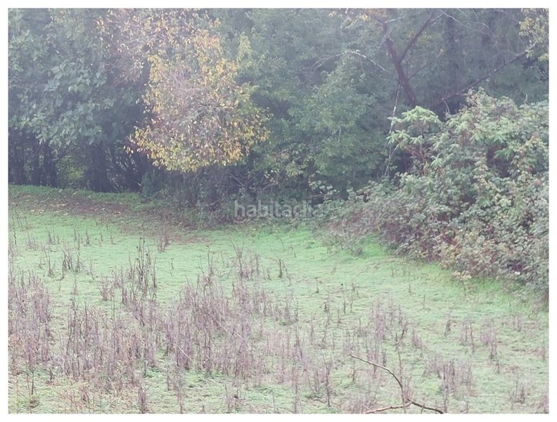 Foto e4ee3f1d-34bd-4e8f-b412-0949d5b59af7. Finca rústica en Moya