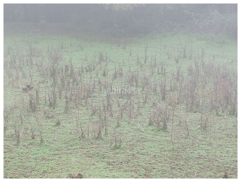 Foto f944a7b6-06b8-4a65-ac11-d182b7003a21. Finca rústica en Moya