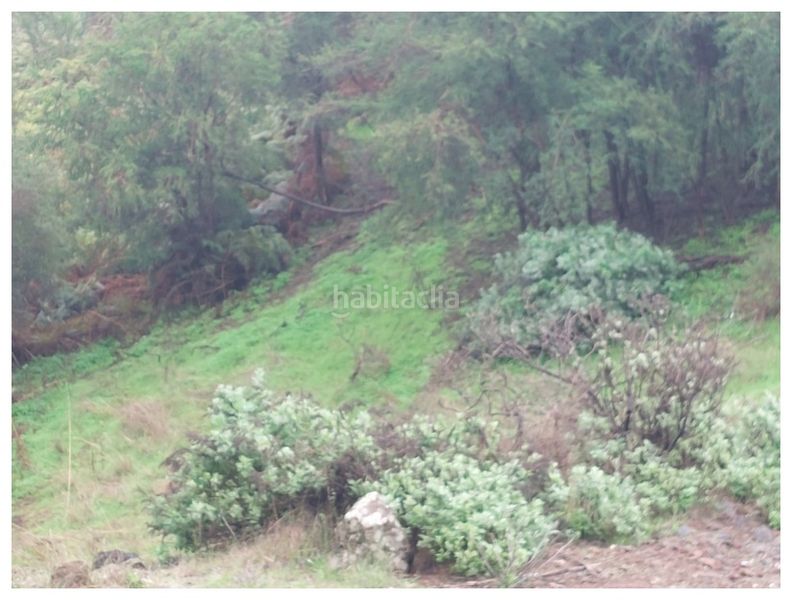 Foto fe938cd1-29ba-4636-ad03-897b16621574. Finca rústica en Moya