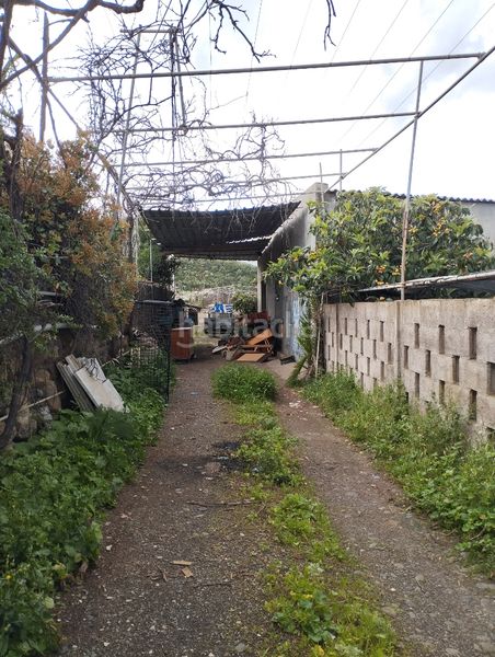 Foto c28bcc1c-79c5-4022-8b85-a8a84429022e. Terreny residencial a Valle de los Nueve - El Ejido - Medianías Telde