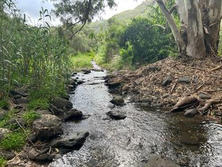 Finca rústica a San Lorenzo