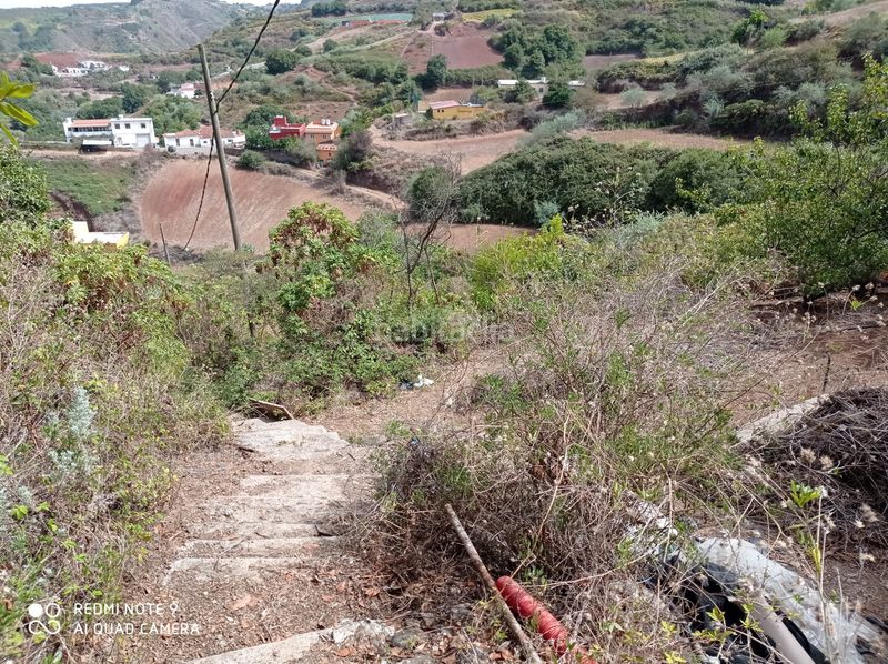 Foto d1d3bdda-0ab4-4b5c-82ee-f099028beaaf. Finca rústica a Moya