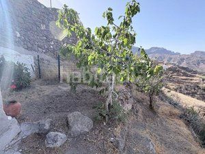 Foto e3f0fc38-61ae-4de7-beb5-f1a689748fe8. Casa a Tejeda