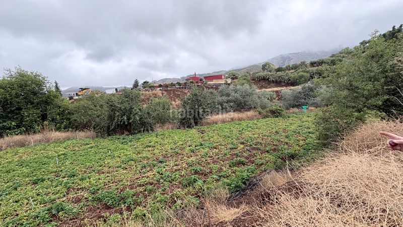 Foto 15e4e34b-63da-47c0-bf11-f3adf03bf2f2. Finca rústica a Vega de San Mateo