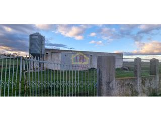 Bâtiment à usage industriel  N/a. Nave de 750m2 con 2300m2 terreno en san cristóbal de la cuesta a