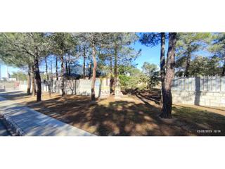 Terreny residencial  N/a. Parcela urbana de 1000m2 útiles en el pinar de alba, vallada y u