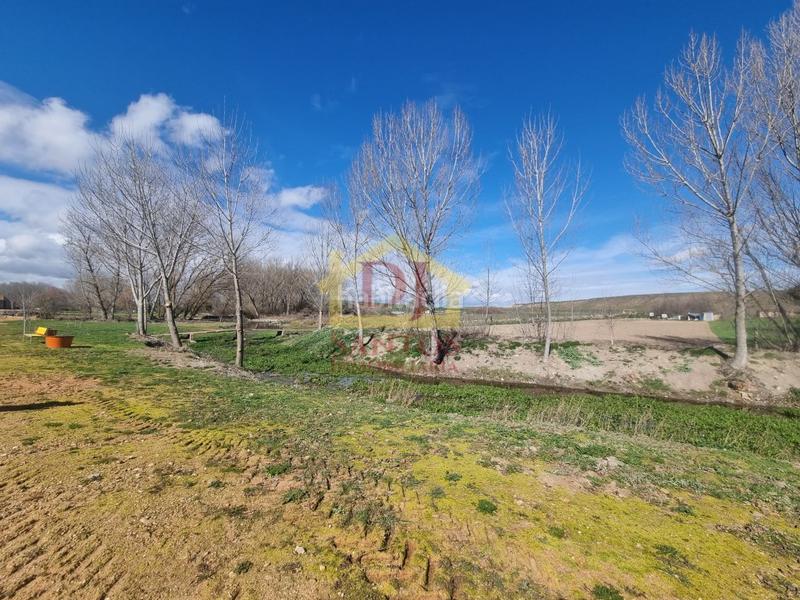 Foto 49d2021e-af88-444f-a3bf-b15645f8fff6. Xalet a Espino de la Orbada