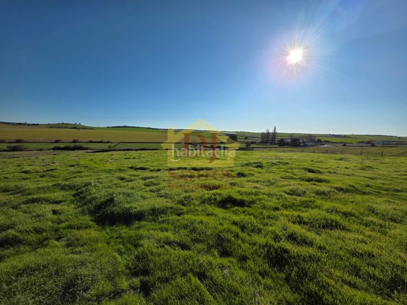 Foto 277d91fa-9233-44c8-927f-f77c6d8cab37. Casa a Mozárbez