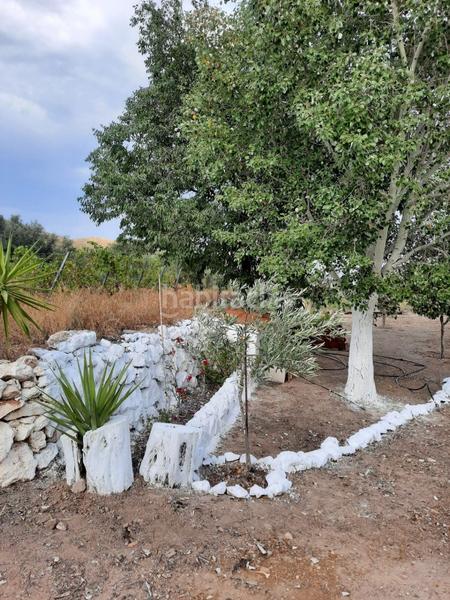 Foto 92c4a0de-e4ee-4a9b-a47c-fde58afcd0c5. Masia a Beires