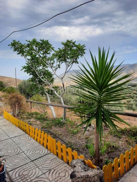 Foto a40442cf-e39d-4607-8c21-88ec1eb34112. Masia a Beires