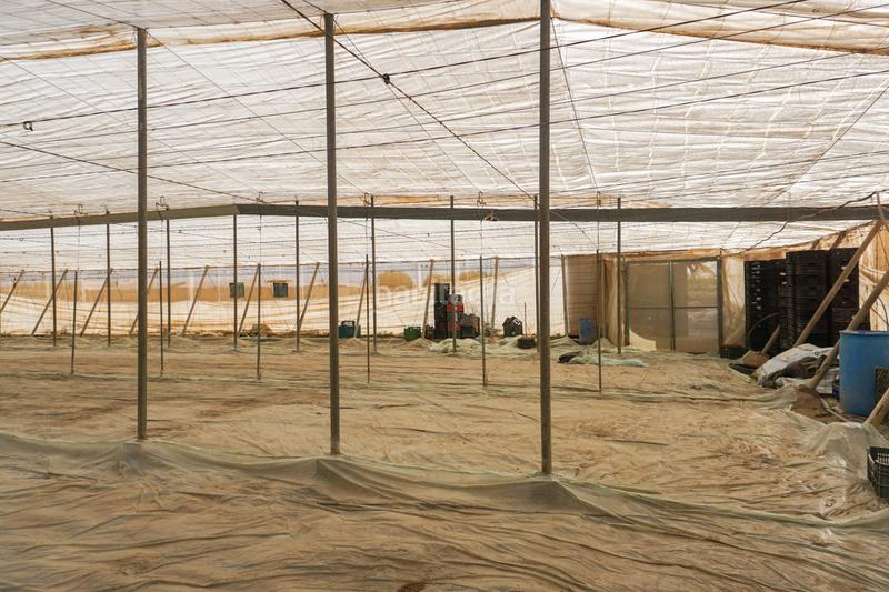 Foto 0e1ae89f-124d-4ab4-87b7-36f6a18e93a5. Mas avec piscine dans La Cañada de San Urbano Almería