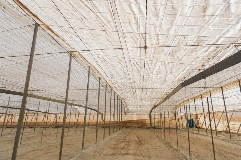 Foto 32743f04-e0be-4b31-8256-0aaac18aa920. Mas avec piscine dans La Cañada de San Urbano Almería