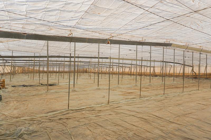 Foto 3dc33c72-f17c-4ddb-aacf-956eb7ba7ec9. Mas avec piscine dans La Cañada de San Urbano Almería