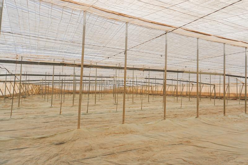 Foto 923b2c19-b848-44ff-bf9e-4effdf8f7c09. Mas avec piscine dans La Cañada de San Urbano Almería