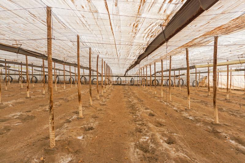 Foto ecea88af-317b-42e6-ae2d-68e734beea88. Mas avec piscine dans La Cañada de San Urbano Almería