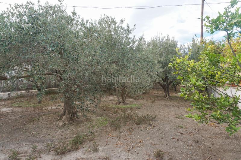 Foto 76a6d1cf-0406-4068-87da-51e503b38aed. Masía en paseo de la iglesia 22 cortijo en Pechina