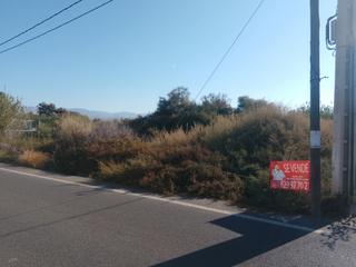 Finca rústica a Carretera sacramento 164. De los pocos que quedan