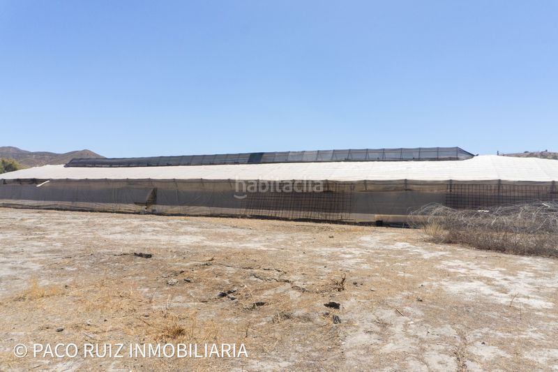 Foto 1a95cc3b-0d70-4379-80b9-5fd55012a6e2. Finca rústica en Santa Fe de Mondújar