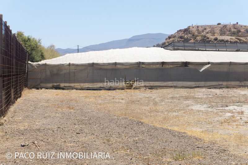 Foto 4179e12e-5a31-4d77-9c95-fd5050a508c7. Finca rústica en Santa Fe de Mondújar