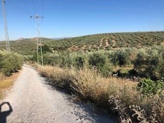 Masia a Güevéjar. Terreno de olivos y suelo urbano