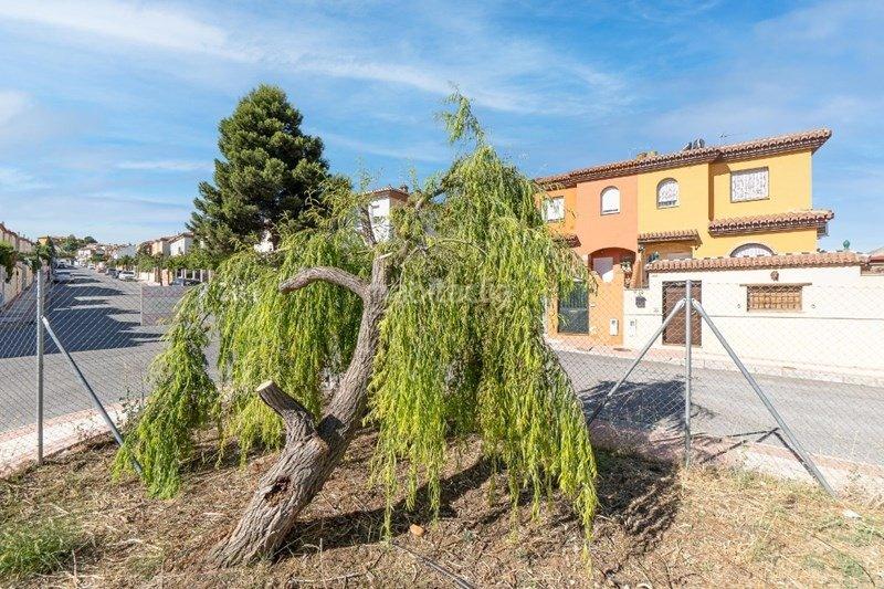 Foto d2fca84d-b7ab-4b3f-bfe2-ad413761fcb1. Residential plot in Urbanizaciones Alhendín