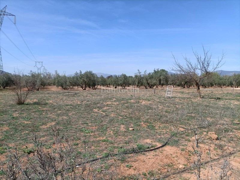 Foto 49907089-9be2-4d3f-bc34-8c5f9008e7fb. Masía finca rústica en Albolote