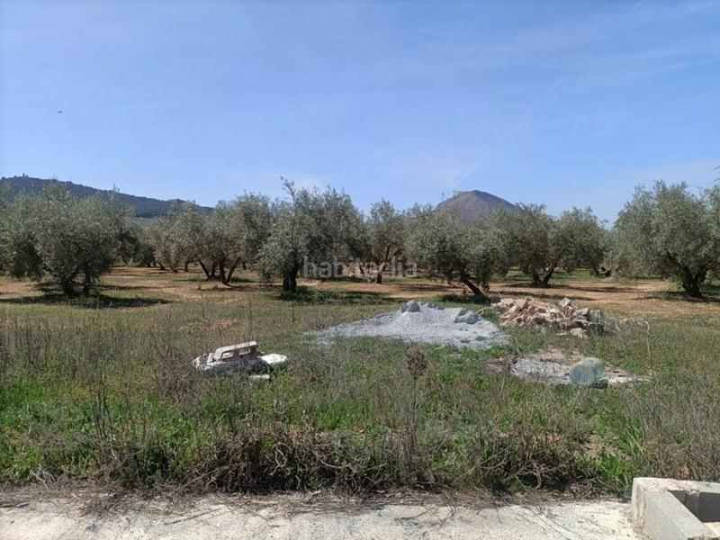 Foto 7034c485-669f-4228-b236-1bf85e25cd9c. Masía finca rústica en Albolote