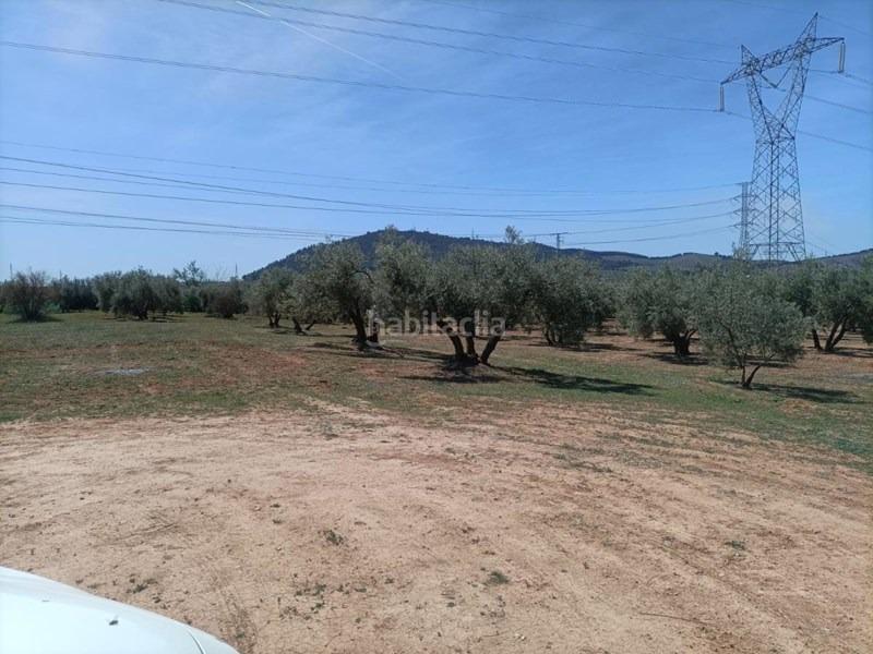 Foto ccdedd70-27f3-41e0-9fb4-8206037a25df. Masía finca rústica en Albolote
