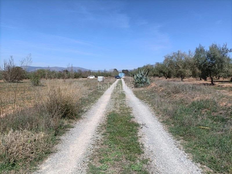 Foto f07faadd-fc2a-4de4-bb69-55cbb1285960. Masía finca rústica en Albolote