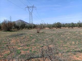Masia a Albolote. Finca rústica