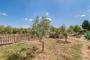 Ampliar foto b646ca9d-9285-4ffe-be45-ef6c98a89e48.jpg